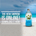 The new SMI NOW is online